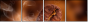 47749181