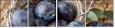 47791254