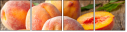 47838116