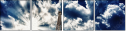47963696