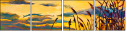 48240212