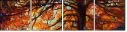48240215