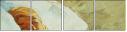 48308195