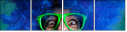 48435608