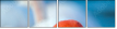 48485872