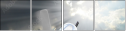 48499530
