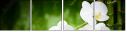 48780391