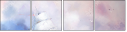 48848531