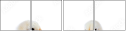 48856718