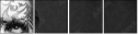 4886066