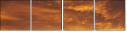 48905885