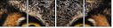 48966303