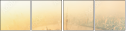 48985440