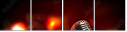 49026303