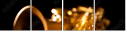 49029894