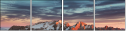 49079048