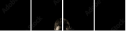 49138103