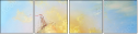 49140904