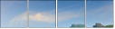 49204590