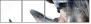 49240267