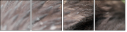 49245808