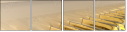 49452516