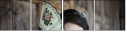 49461392