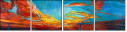 49522836