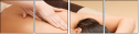 49532664