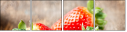 49541213