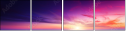 49545683