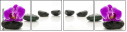 49566256