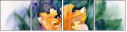 49614192