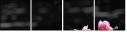 49632305