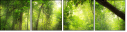 49652225