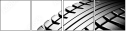 49674253