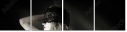 49700990