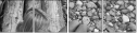 4970486