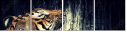 49749076