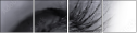 49921743