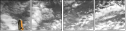 50130515