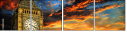 50169428