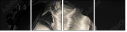 50218208
