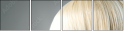 50250548
