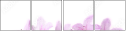 50254083