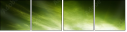 50284867