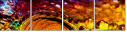 50502121