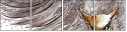 50509602