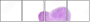 50610337