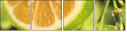 50666087